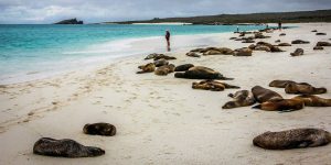 Facts about the Galapagos Islands